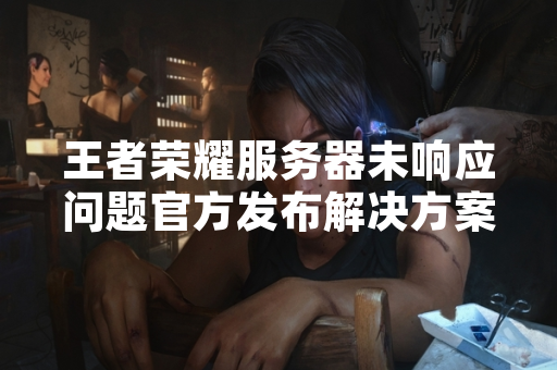 王者荣耀服务器未响应问题官方发布解决方案