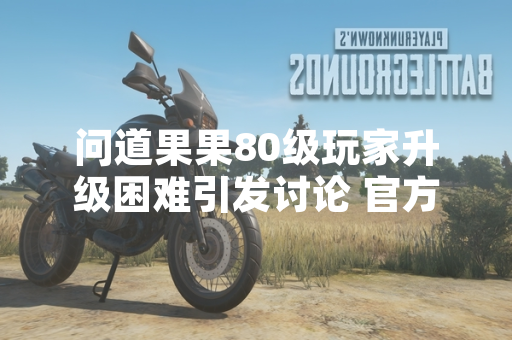 问道果果80级玩家升级困难引发讨论 官方已进行针对性优化